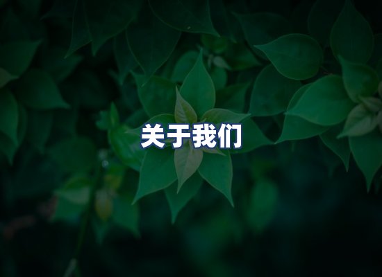 关于我们